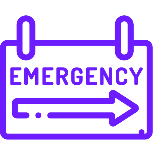 Emergency Services Available Icon