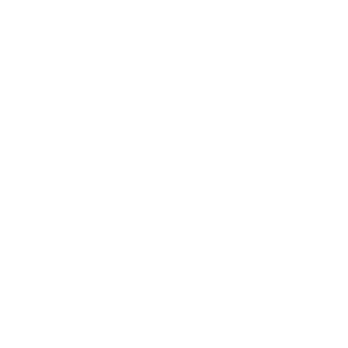 electrician icon